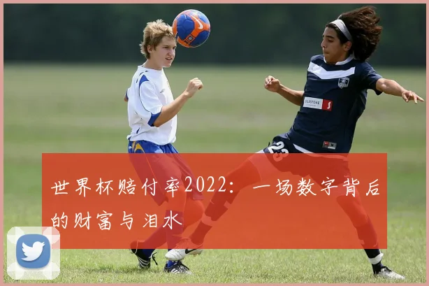 世界杯赔付率2022：一场数字背后的财富与泪水
