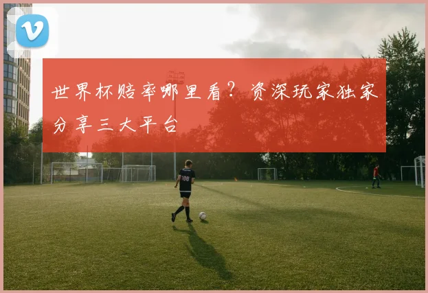 世界杯赔率哪里看?资深玩家独家分享三大平台