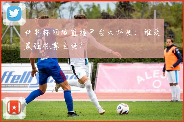 世界杯网络直播平台大评测：谁是最强观赛主场？