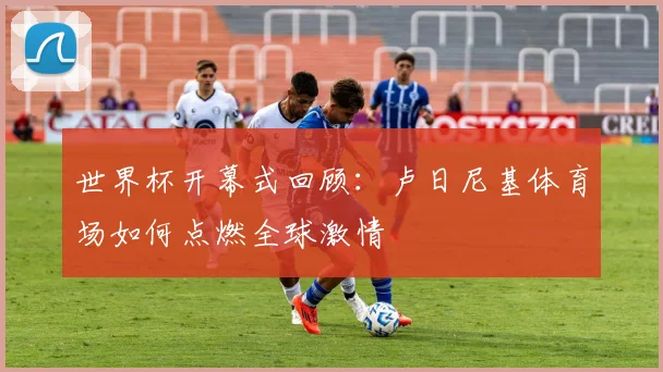 世界杯开幕式回顾：卢日尼基体育场如何点燃全球激情