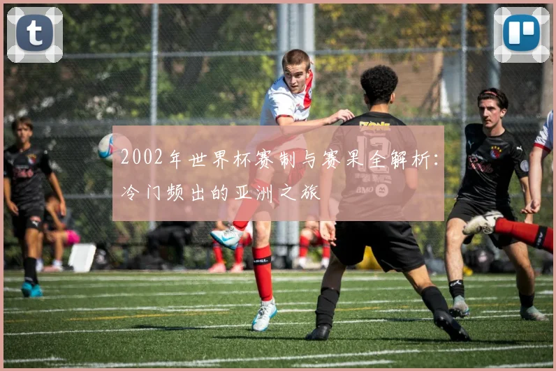 2002年世界杯赛制与赛果全解析：冷门频出的亚洲之旅