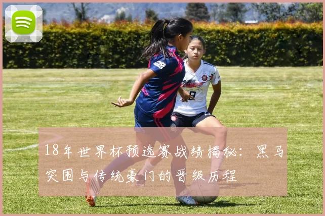 18年世界杯预选赛战绩揭秘：黑马突围与传统豪门的晋级历程