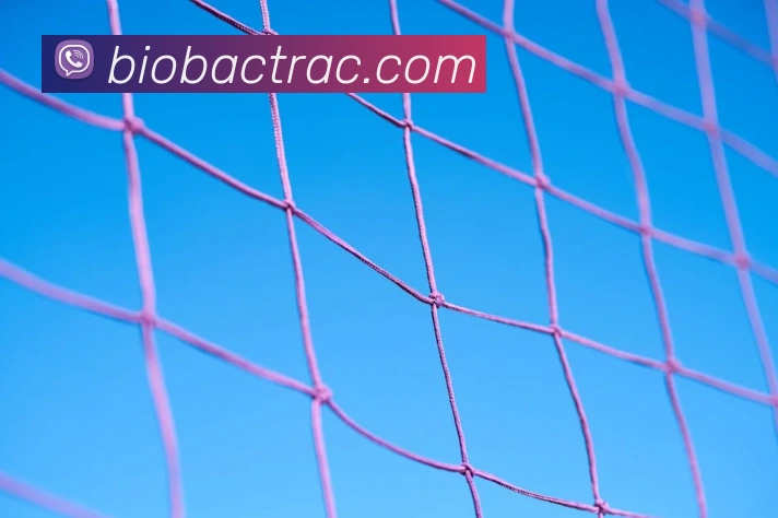 易倍emc品牌故事