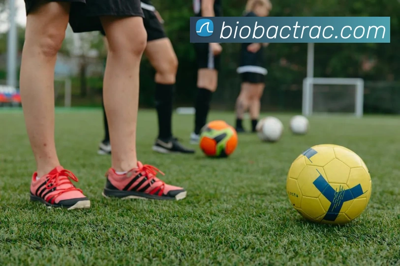 易倍emc服务体系